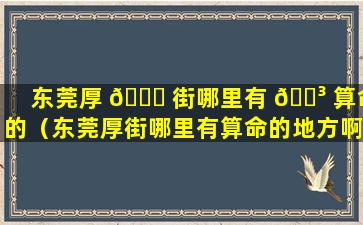 东莞厚 🐛 街哪里有 🐳 算命的（东莞厚街哪里有算命的地方啊）